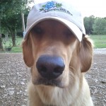 Cage cap