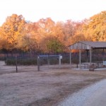 Fall 2011 Blueberry Field