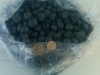 1-gallon-bag-of-fresh-picked-blueberries-with-nickel-quarter